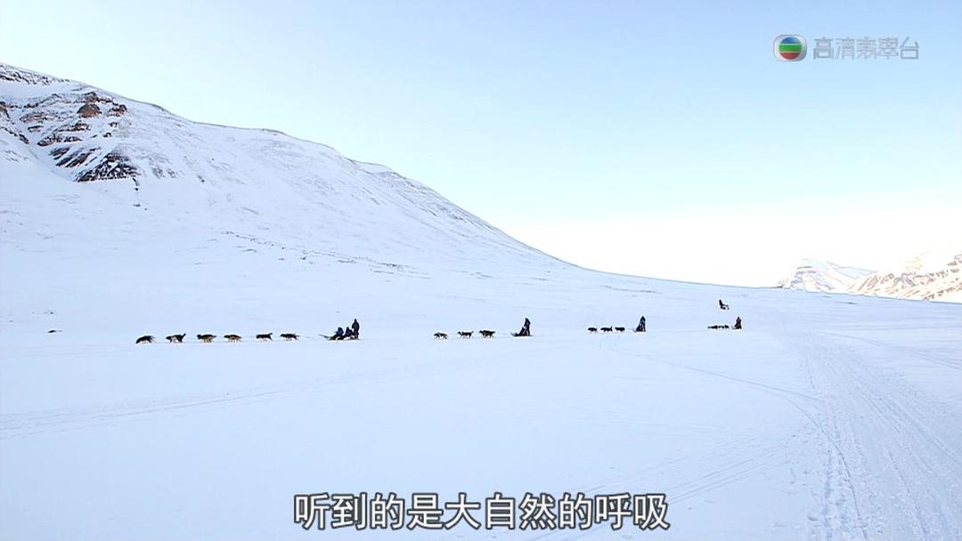极地狂奔 極地狂奔