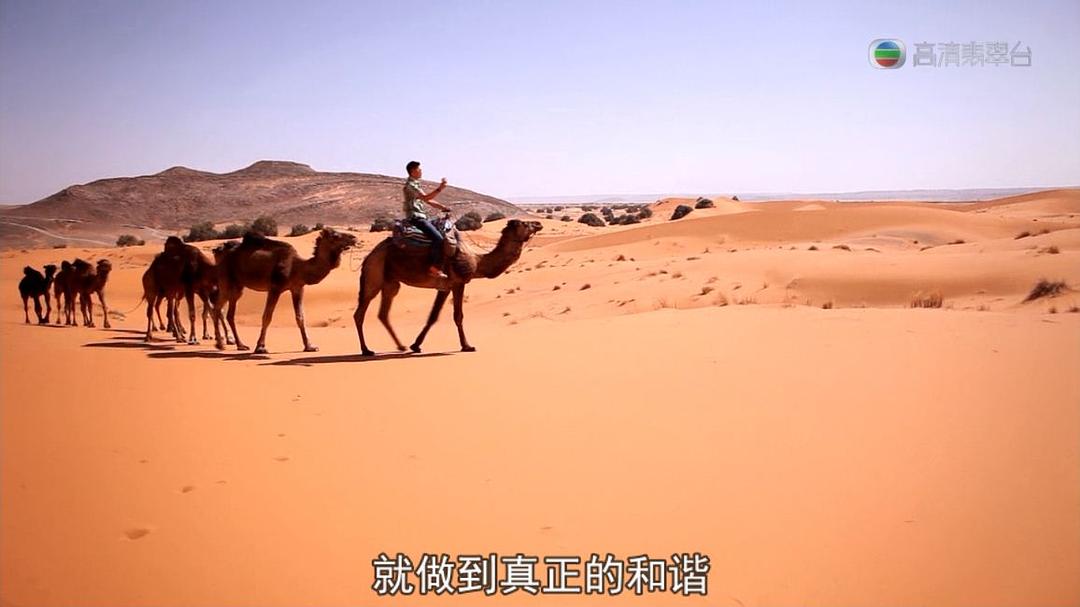 极地狂奔 極地狂奔