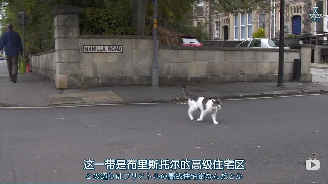 岩合光昭的猫步走世界 岩合光昭の世界ネコ歩き