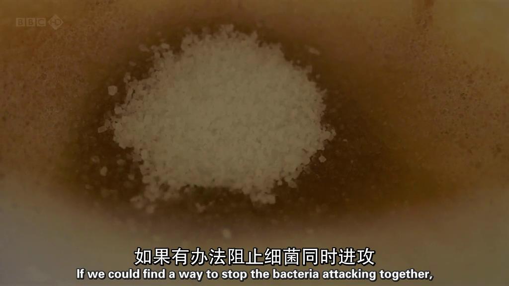 地平线系列:战胜超级病菌 Horizon: Defeating the Superbug