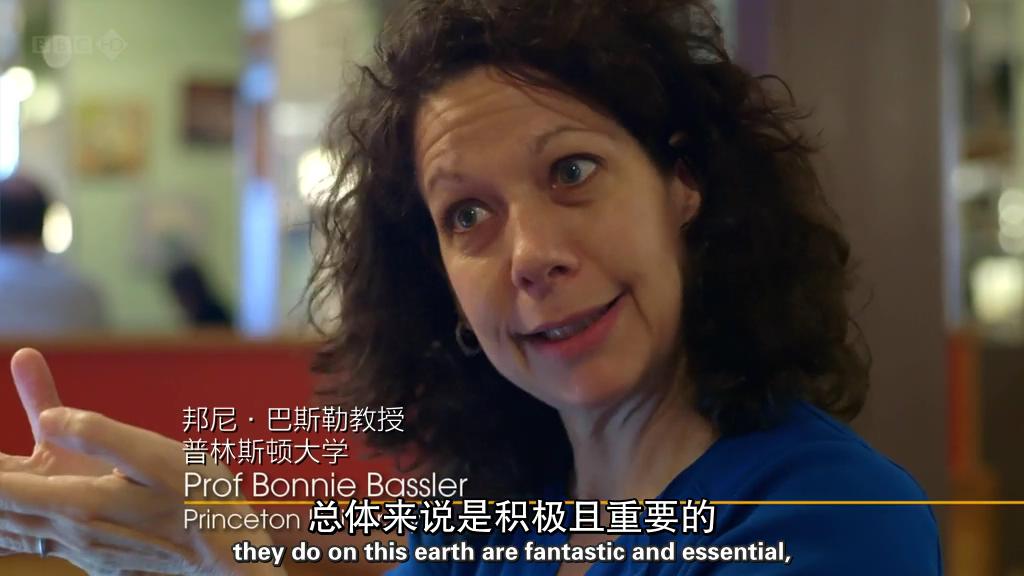 地平线系列:战胜超级病菌 Horizon: Defeating the Superbug