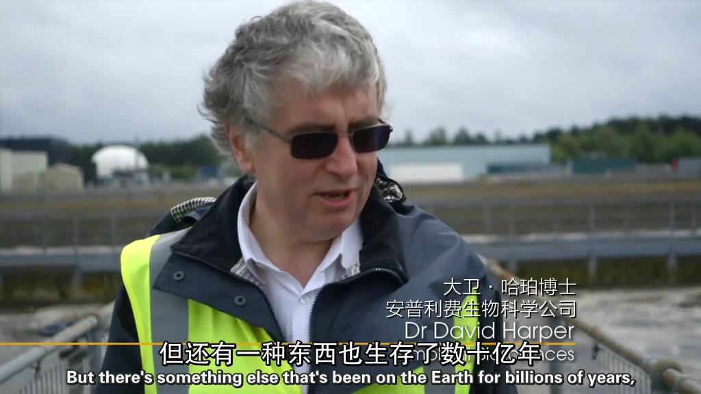 地平线系列:战胜超级病菌 Horizon: Defeating the Superbug