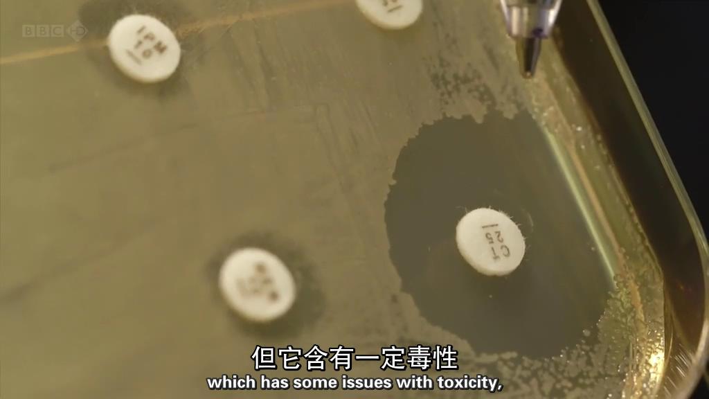 地平线系列:战胜超级病菌 Horizon: Defeating the Superbug