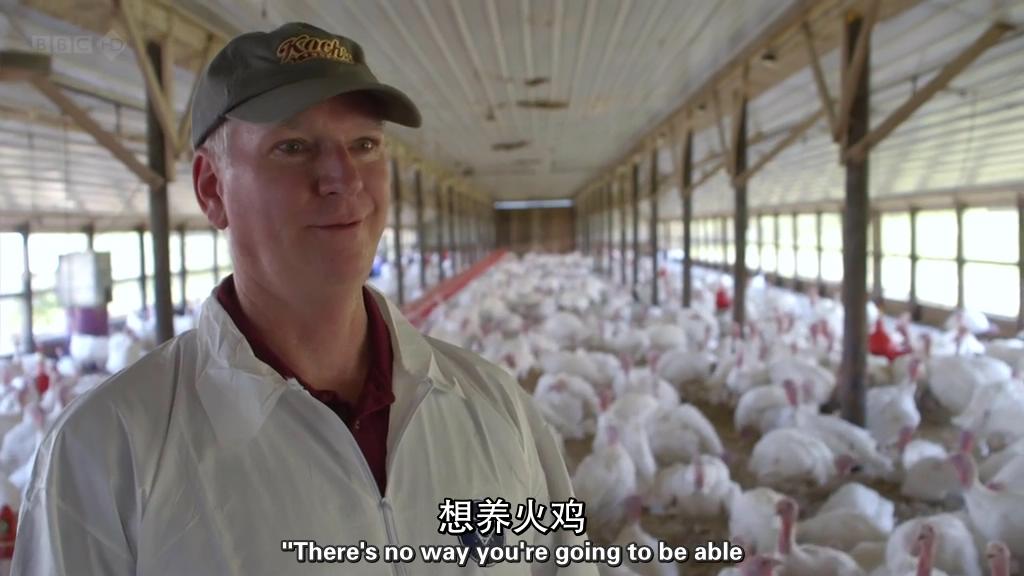 地平线系列:战胜超级病菌 Horizon: Defeating the Superbug