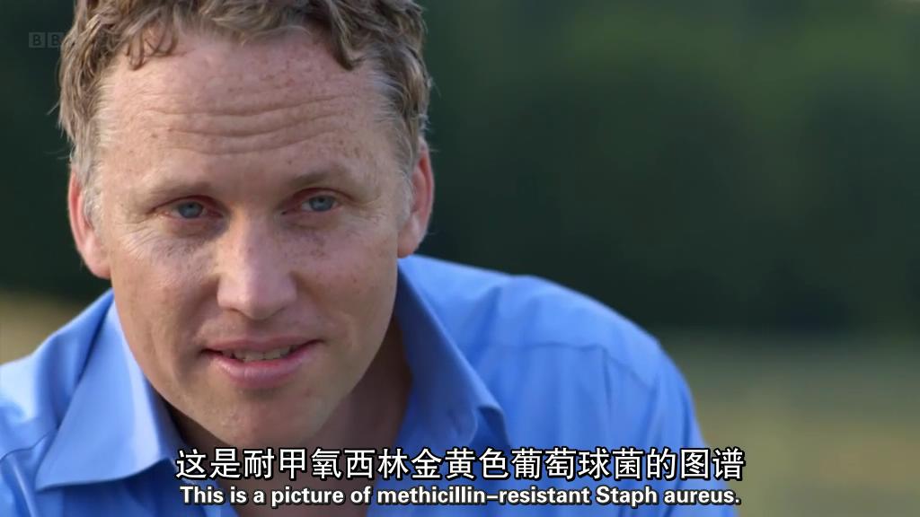 地平线系列:战胜超级病菌 Horizon: Defeating the Superbug