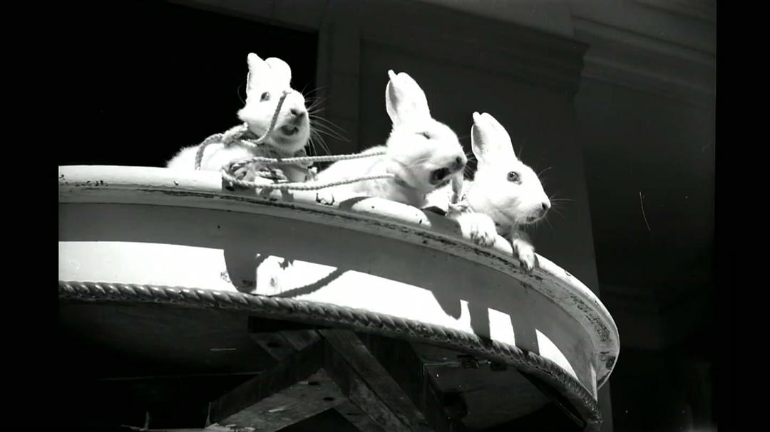 薇薇安·迈尔:谁动了保姆的照片 Vivian Maier: Who Took Nanny's Pictures