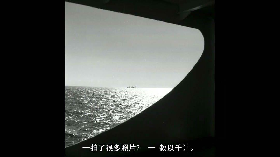 薇薇安·迈尔:谁动了保姆的照片 Vivian Maier: Who Took Nanny's Pictures