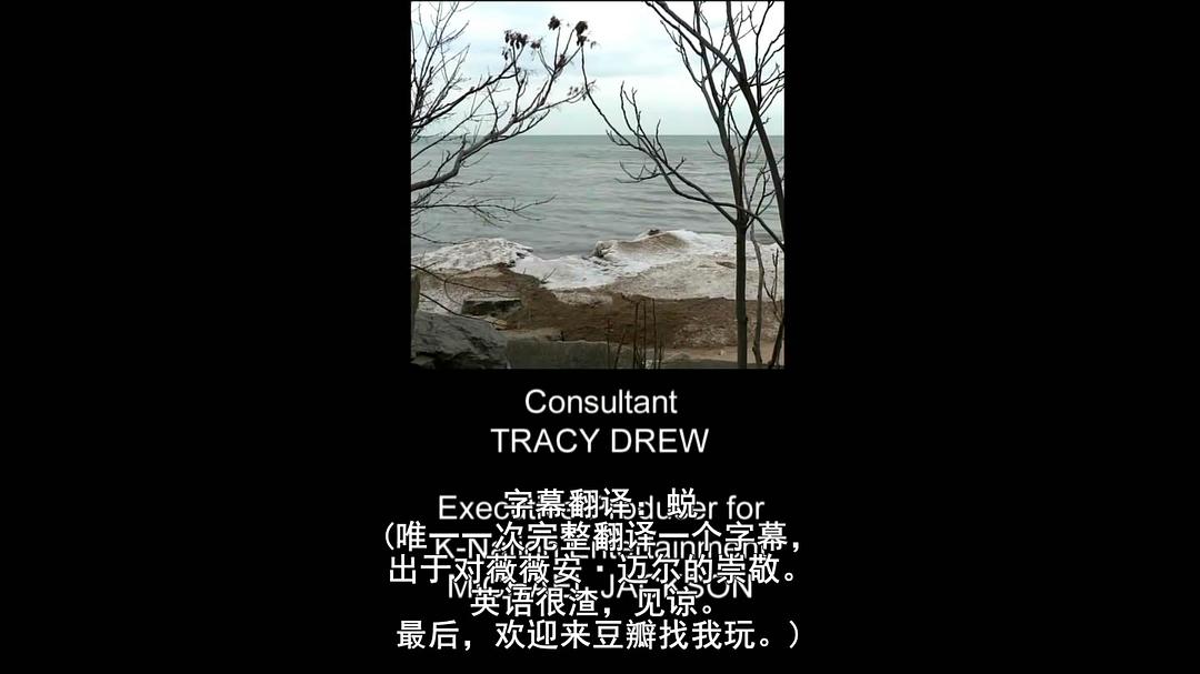 薇薇安·迈尔:谁动了保姆的照片 Vivian Maier: Who Took Nanny's Pictures