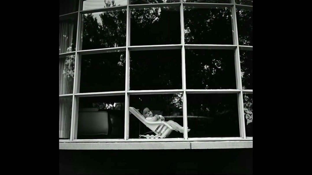 薇薇安·迈尔:谁动了保姆的照片 Vivian Maier: Who Took Nanny's Pictures