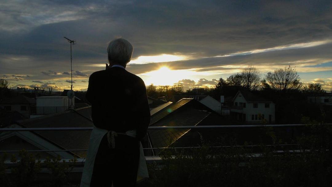 梦与狂想的王国 夢と狂気の王国