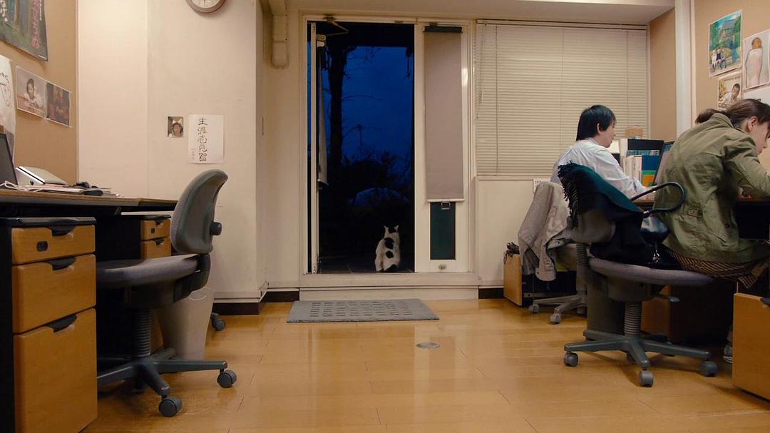 梦与狂想的王国 夢と狂気の王国