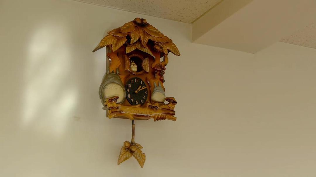 梦与狂想的王国 夢と狂気の王国