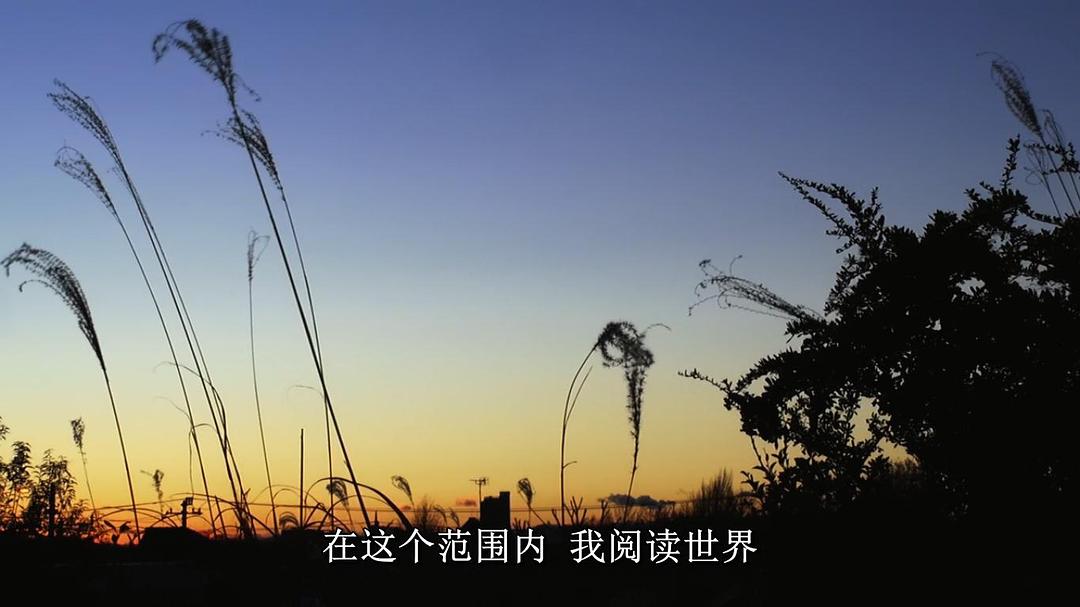 梦与狂想的王国 夢と狂気の王国