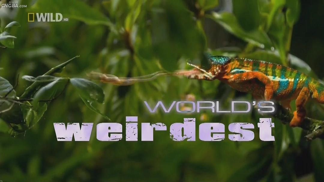 奇形怪物 World's Weirdest