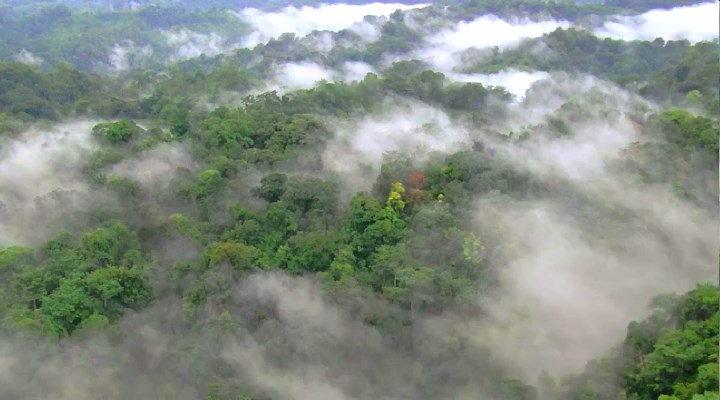 冰河巨兽 Ice Age Giants