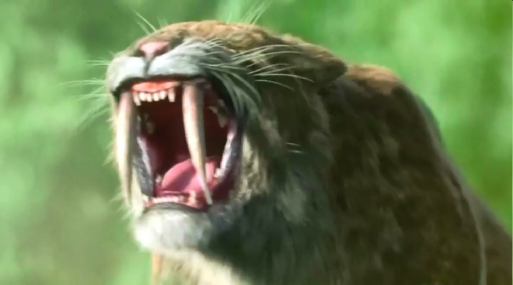 冰河巨兽 Ice Age Giants