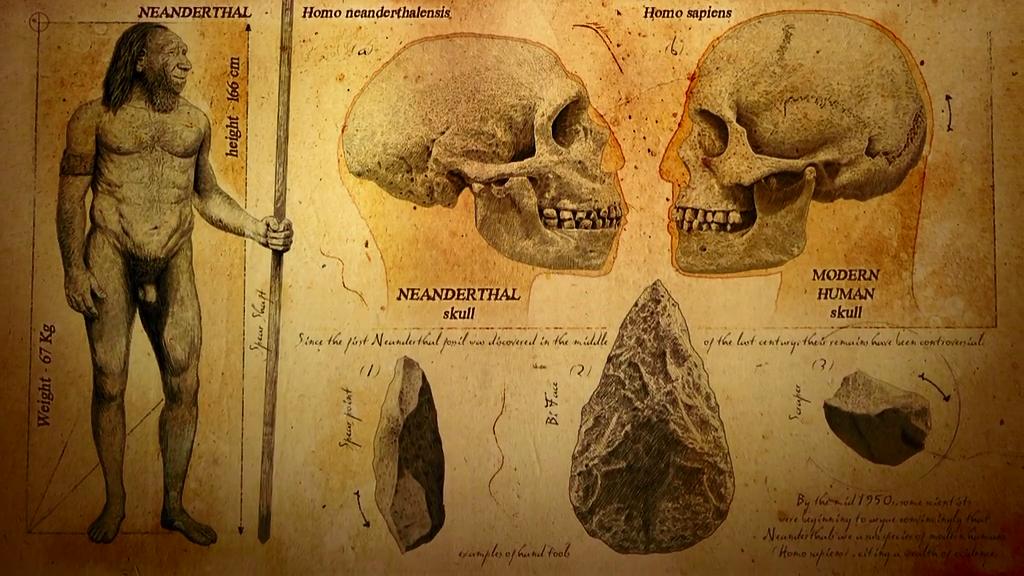 冰河巨兽 Ice Age Giants