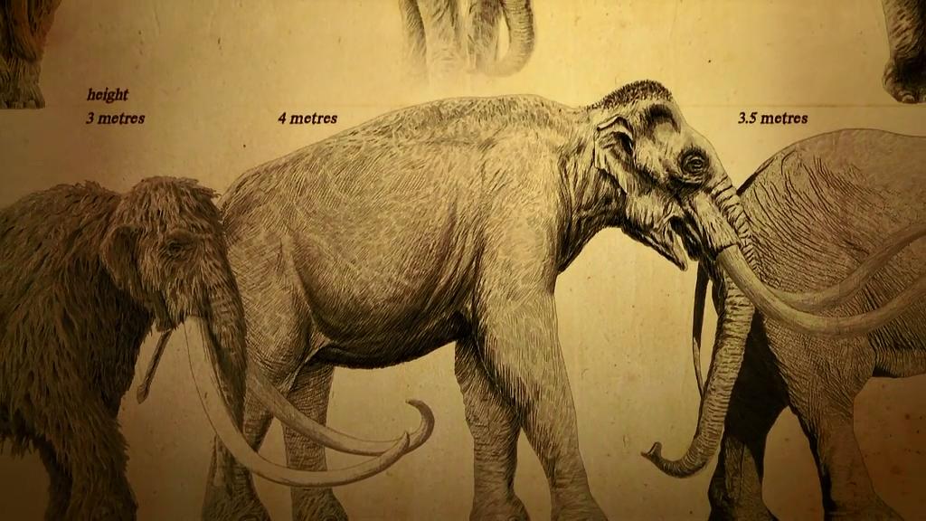 冰河巨兽 Ice Age Giants