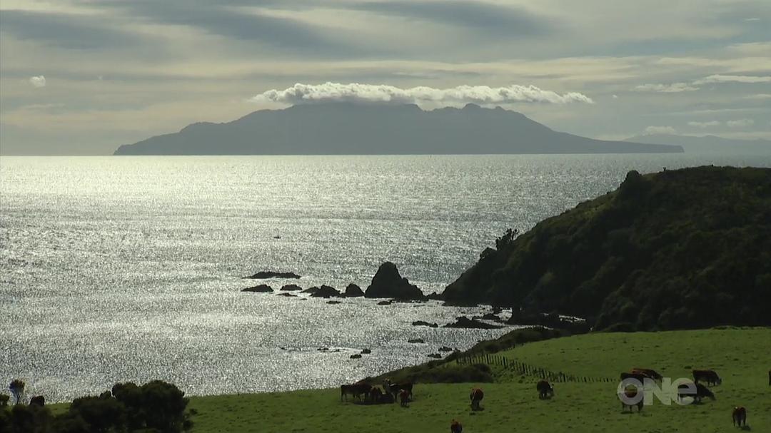 狂野新西兰 Wild About New Zealand