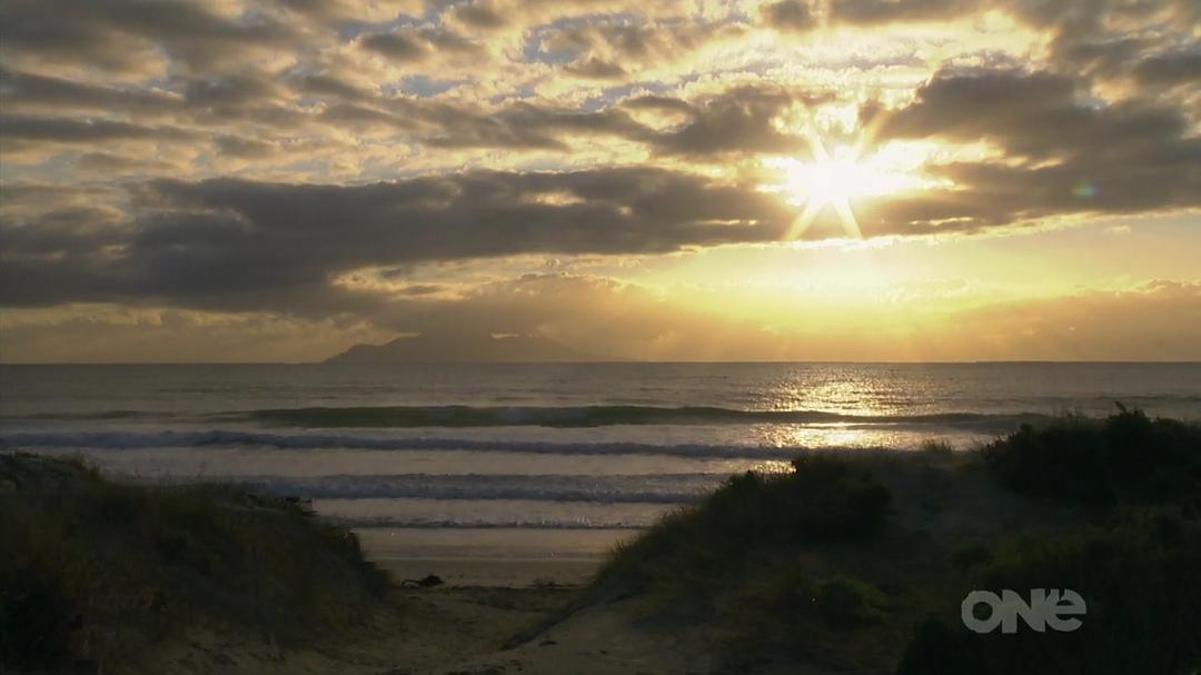 狂野新西兰 Wild About New Zealand