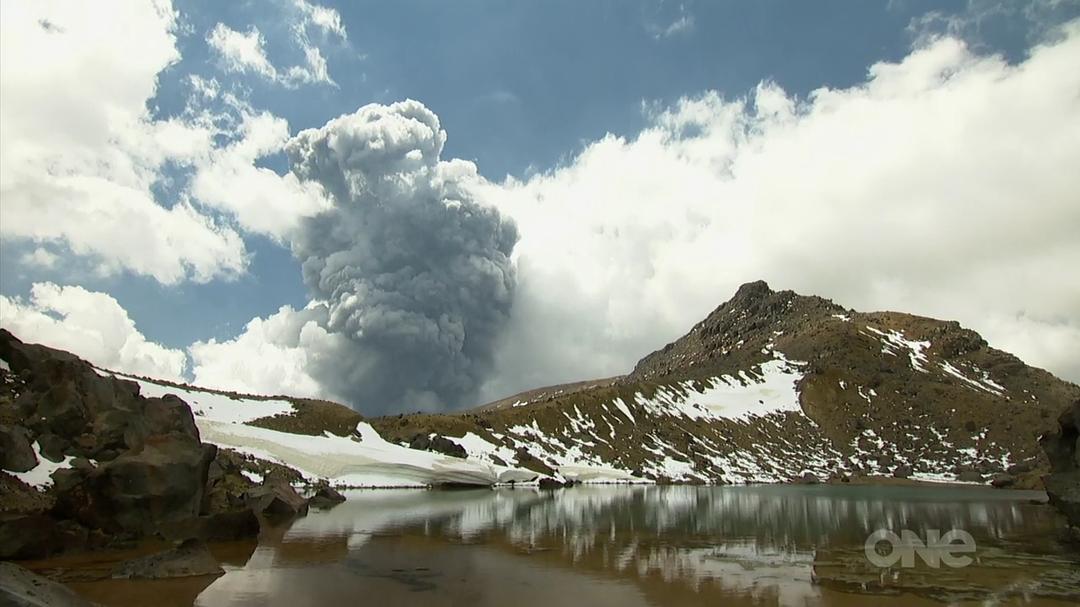 狂野新西兰 Wild About New Zealand