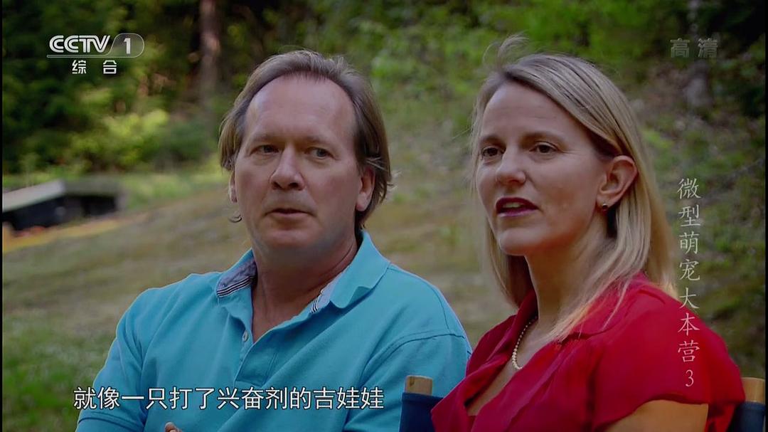 微型萌宠大本营 Super Tiny Animals