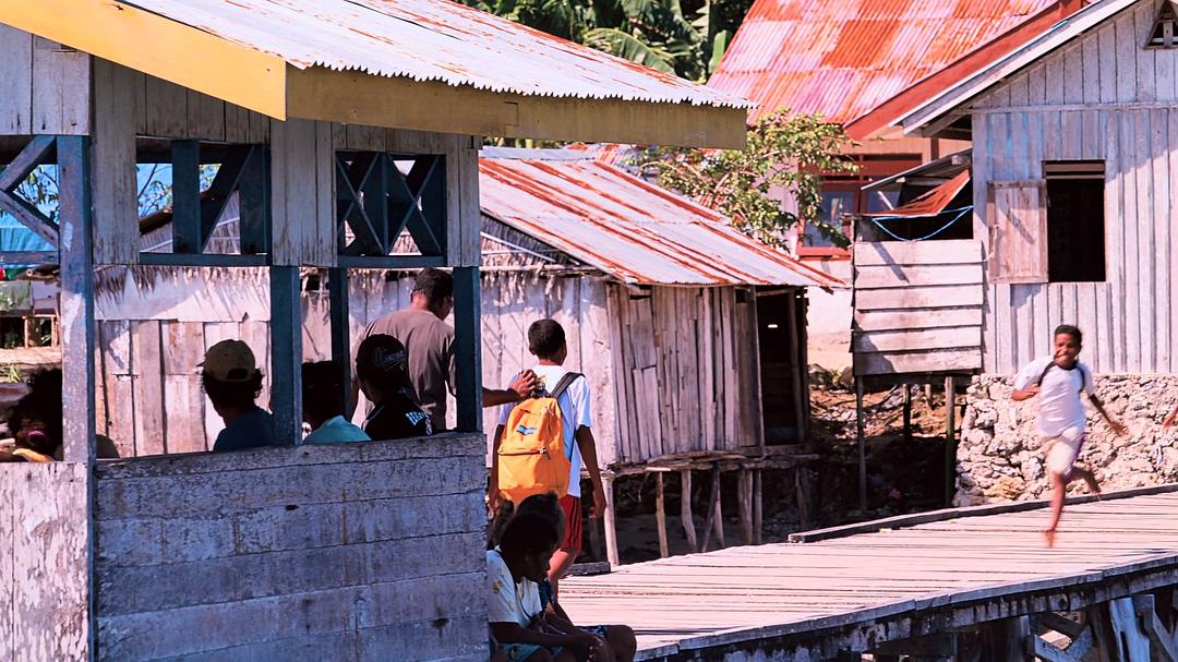 南太平洋之旅 Journey to the South Pacific