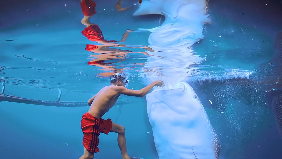 南太平洋之旅 Journey to the South Pacific