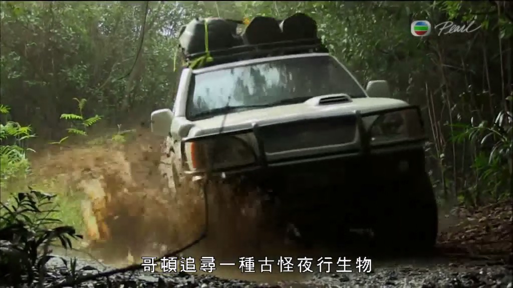 黑暗中的自然界 The Dark: Nature's Nighttime World