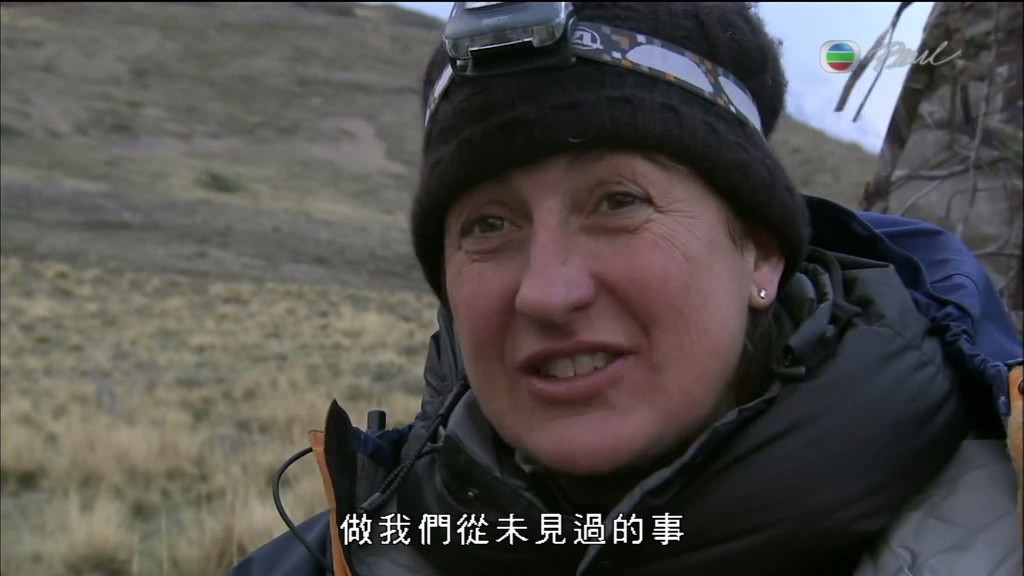 黑暗中的自然界 The Dark: Nature's Nighttime World