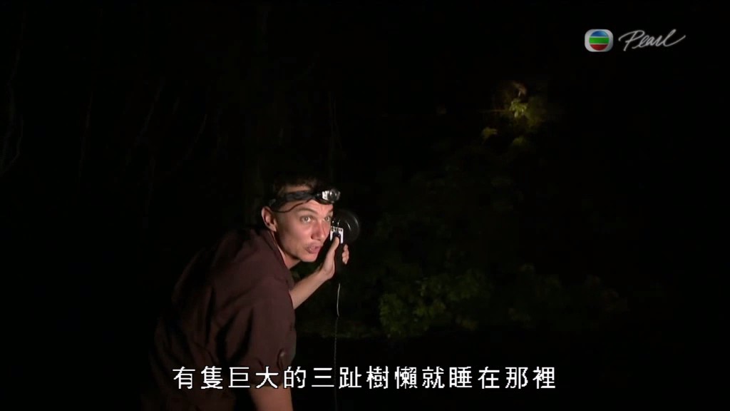 黑暗中的自然界 The Dark: Nature's Nighttime World