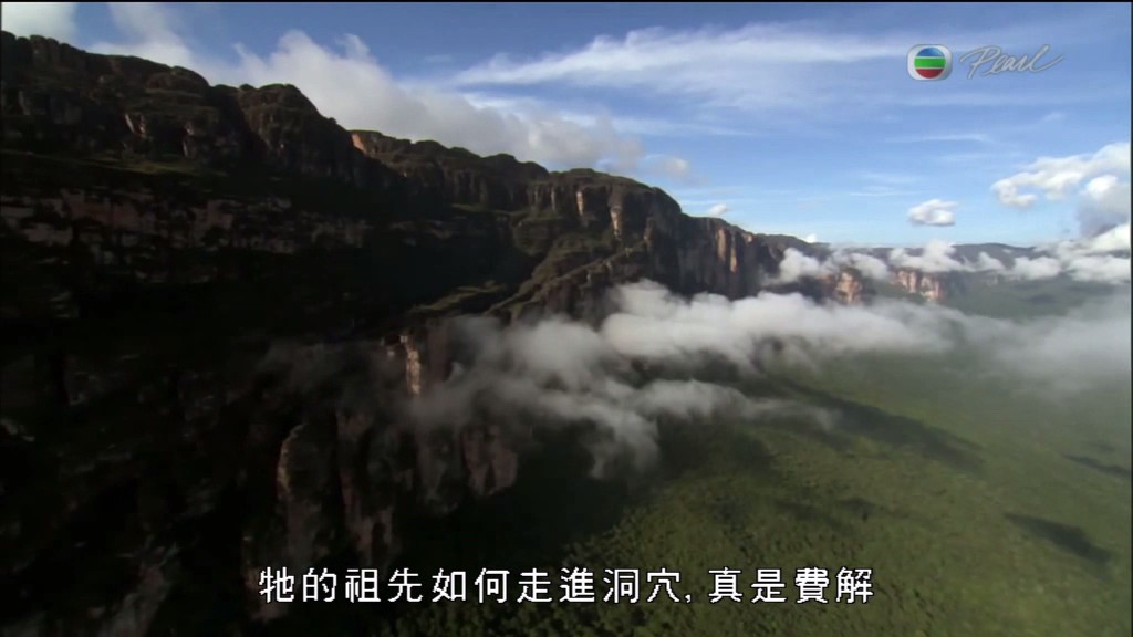 黑暗中的自然界 The Dark: Nature's Nighttime World