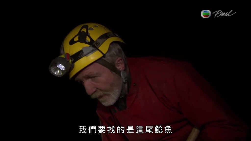 黑暗中的自然界 The Dark: Nature's Nighttime World