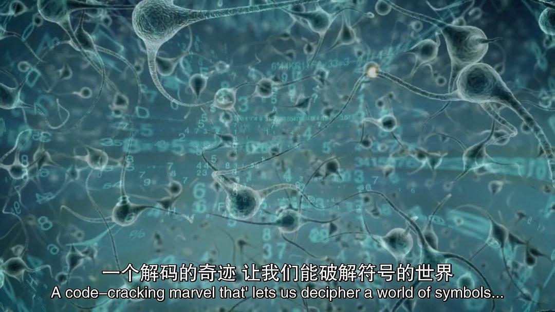 历史频道:人类大历史 第一季 Big History Season 1