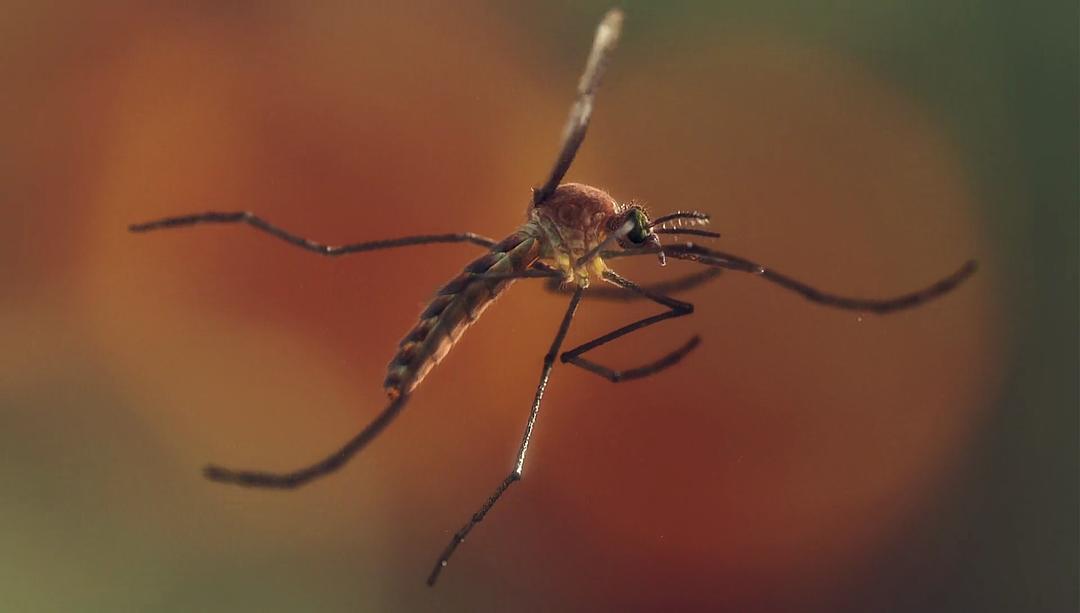 未知世界的秘密 Mysteries of the Unseen World