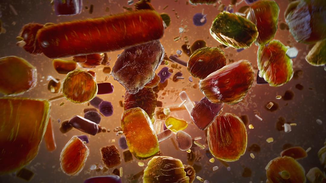 未知世界的秘密 Mysteries of the Unseen World