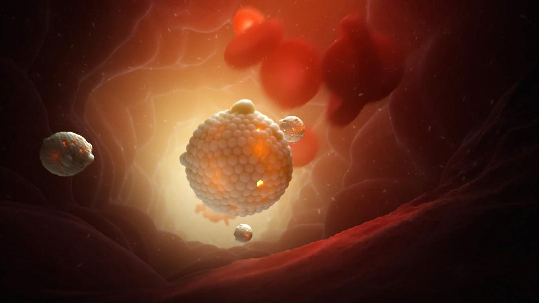 未知世界的秘密 Mysteries of the Unseen World