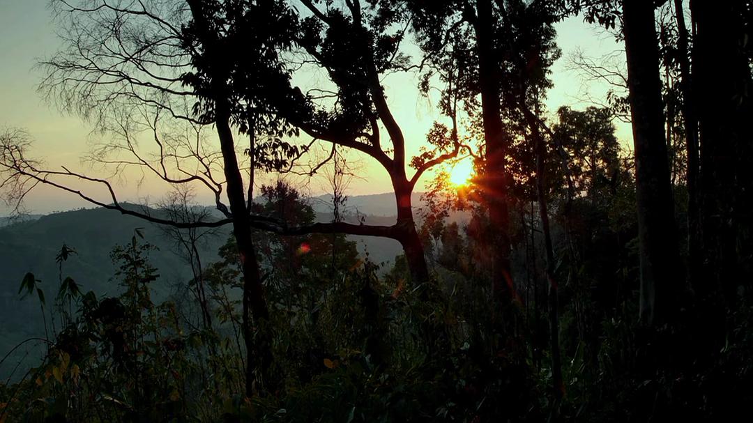 野性缅甸:失落的自然王国 Wild Burma: Nature's Lost Kingdom