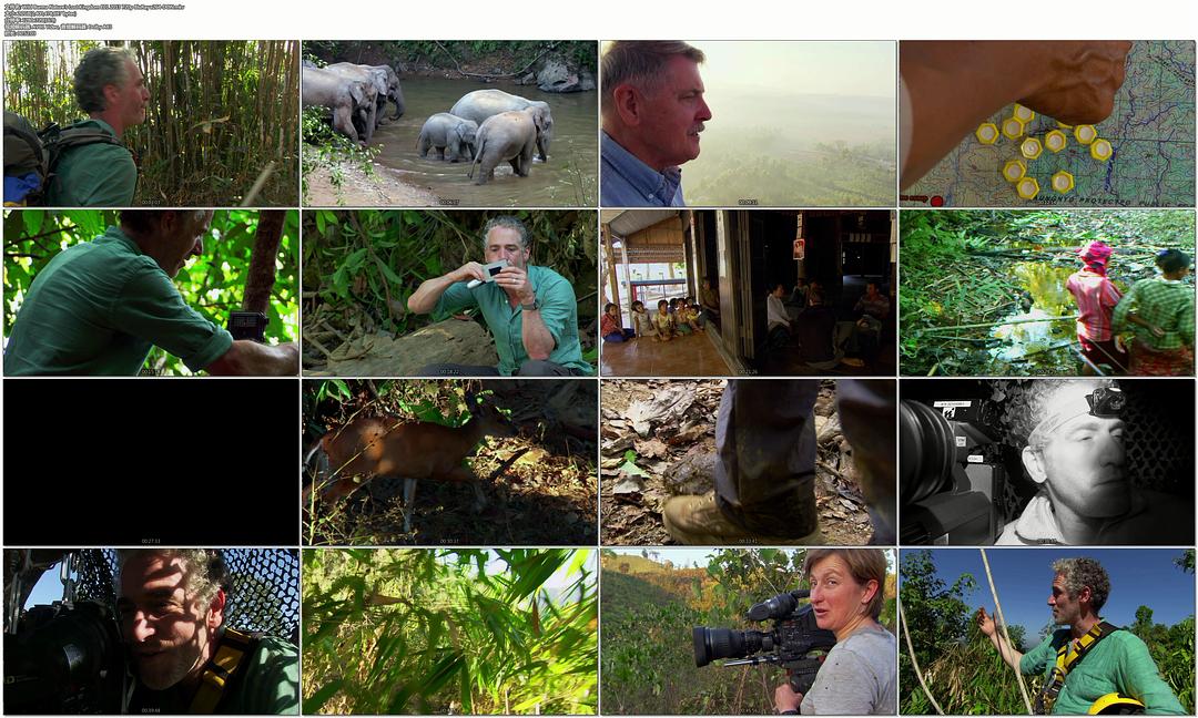 野性缅甸:失落的自然王国 Wild Burma: Nature's Lost Kingdom