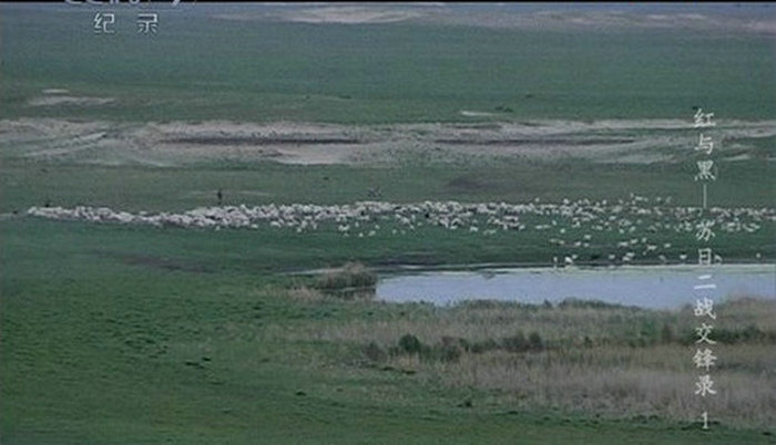 红与黑-苏日二战交锋录