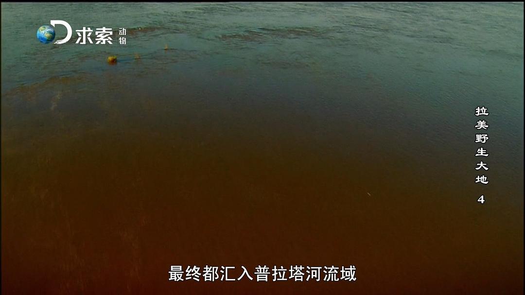 拉美野生大地 第一季 Wildest Latin America Season 1