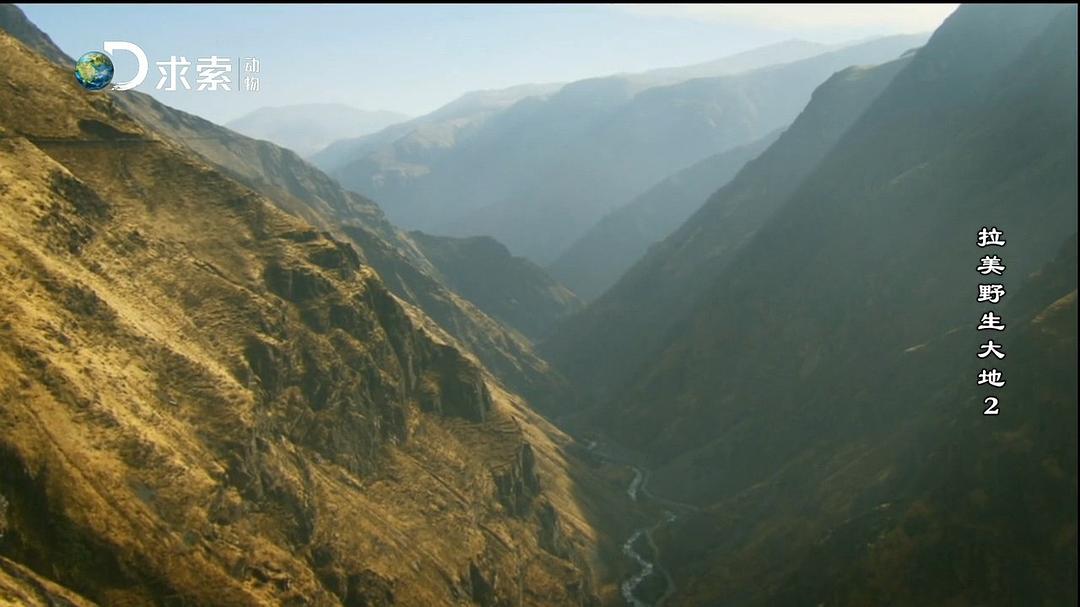 拉美野生大地 第一季 Wildest Latin America Season 1