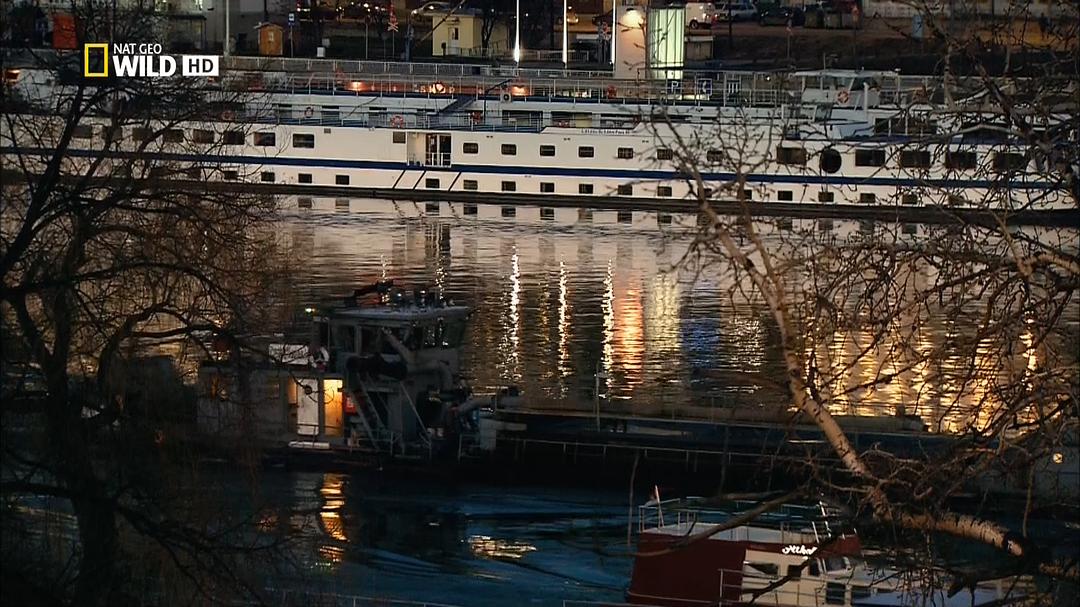 多瑙河:欧洲的亚马逊 Danube: Europe's Amazon