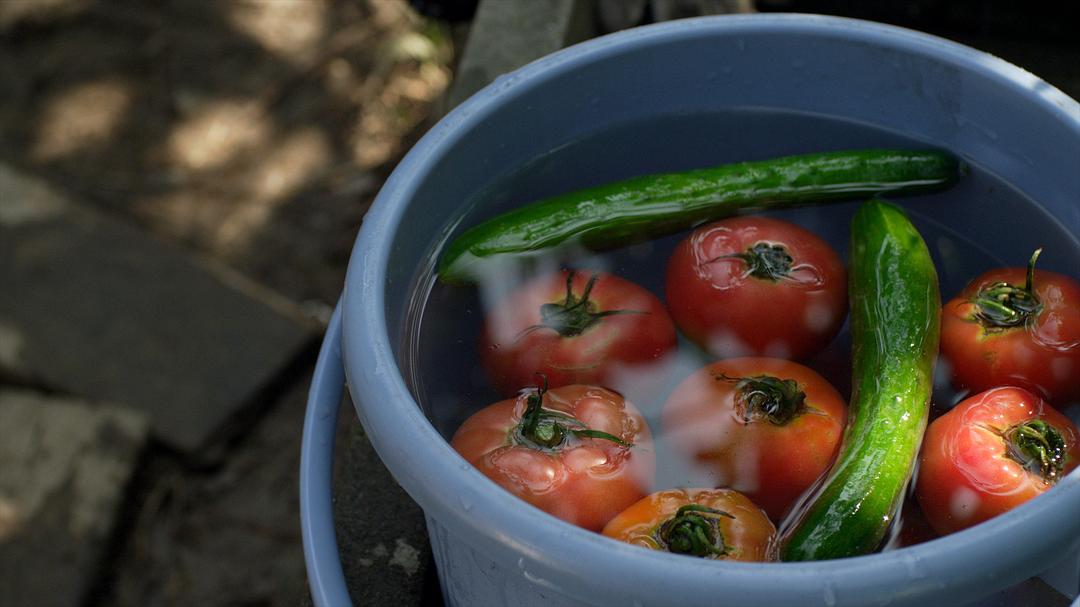 小森林 冬春篇 リトル・フォレスト 冬・春