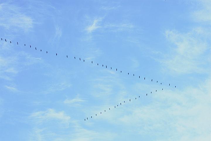 小森林 冬春篇 リトル・フォレスト 冬・春