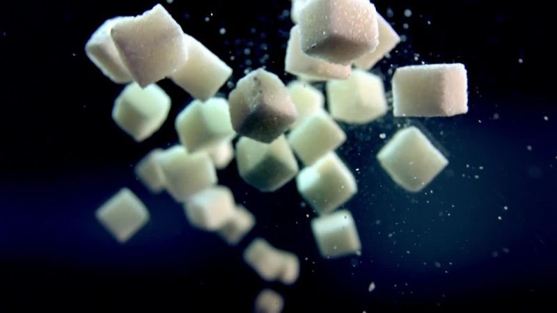 高糖VS高脂肪 Horizon: Sugar v Fat