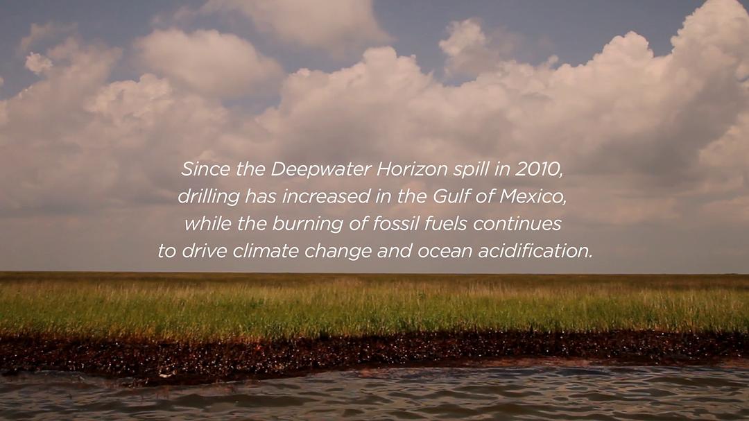 蓝色任务 Mission Blue