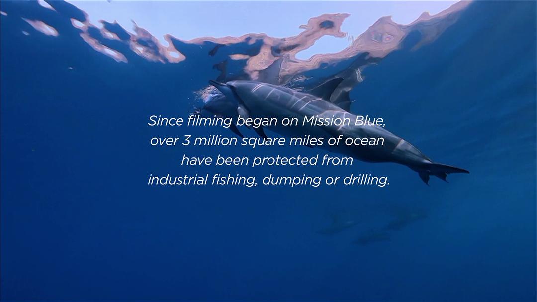 蓝色任务 Mission Blue