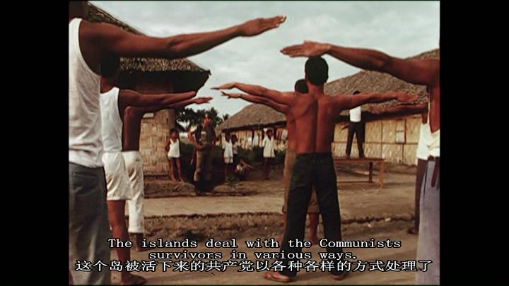 沉默之像 The Look of Silence