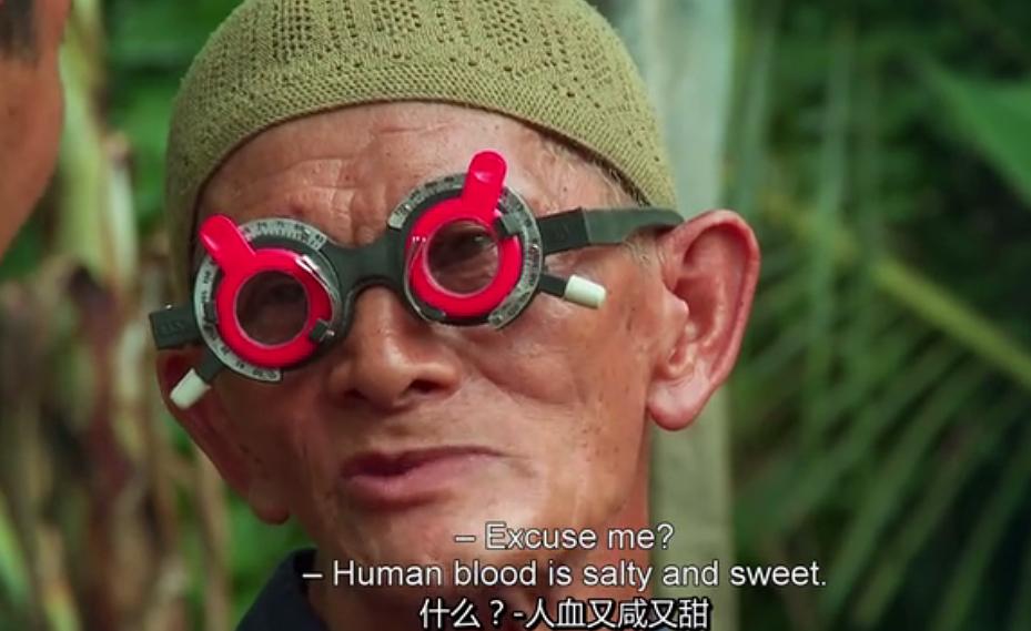 沉默之像 The Look of Silence